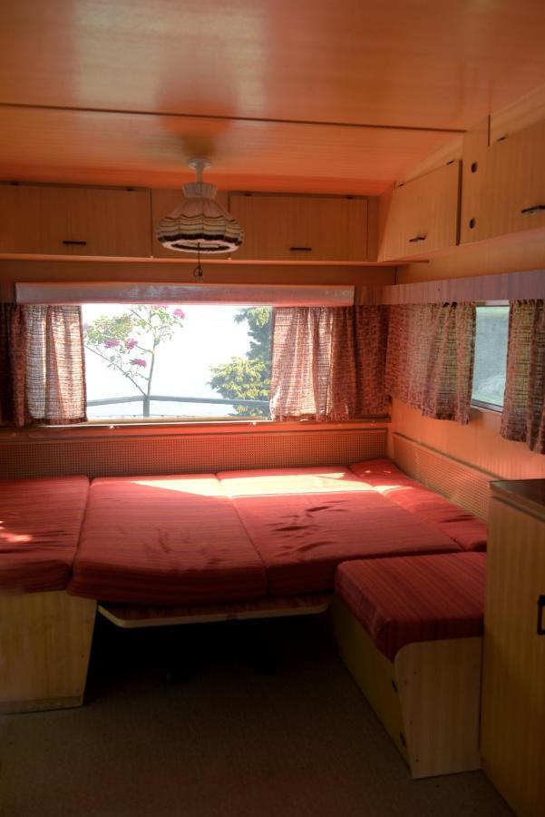 Camping Alpino - Nature Village *