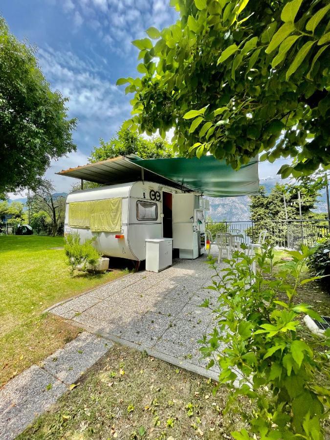 Alpino - Nature Village Camping