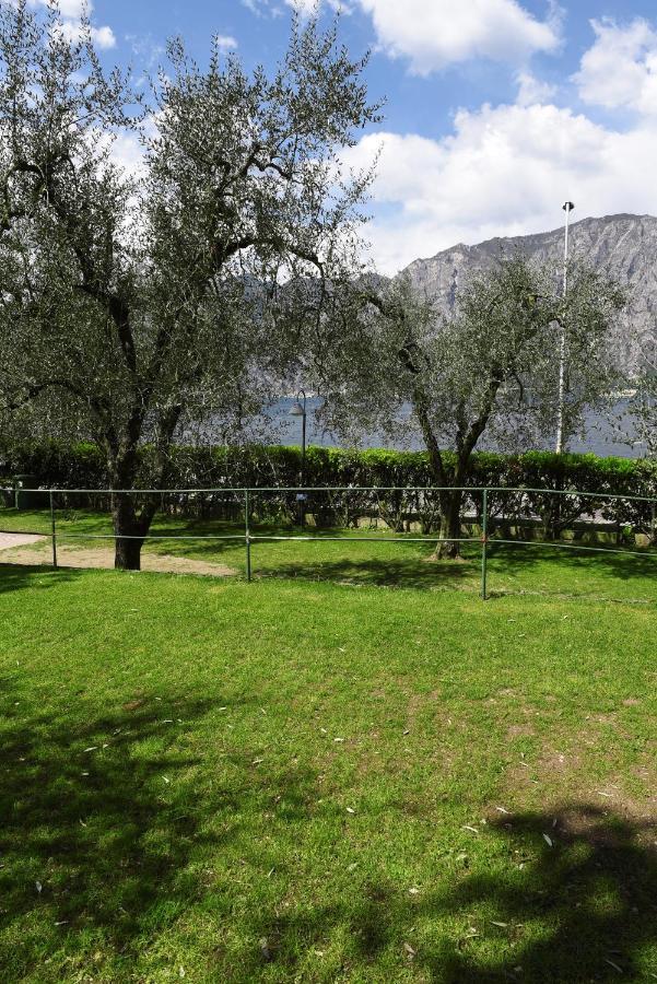 Alpino - Nature Village