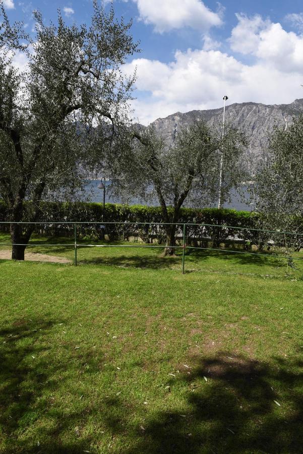 Alpino - Nature Village *