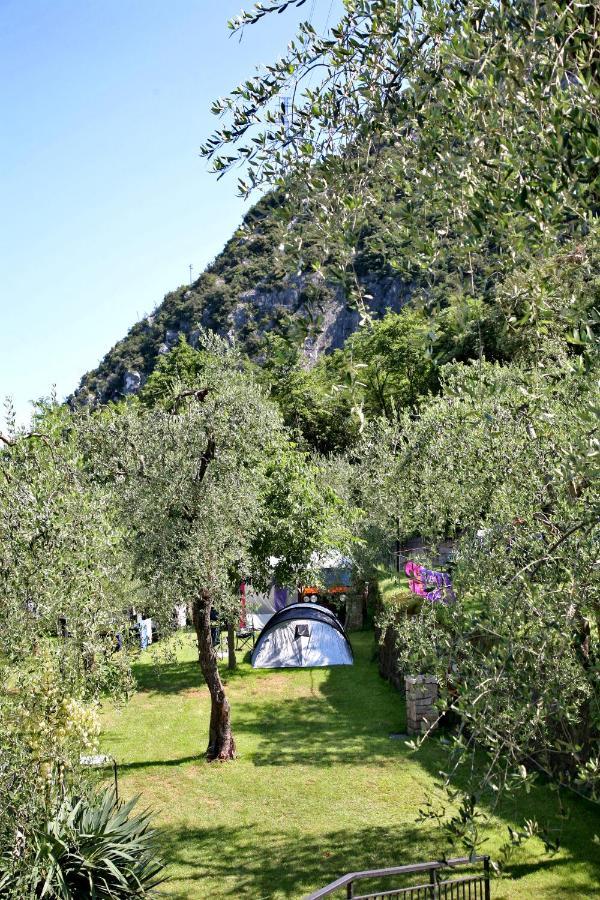 Alpino - Nature Village Campsite *
